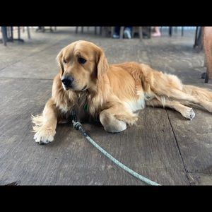 Meet your Posher, James